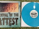 Fat Wreck Chords Survival Of The Fattest 25th Color LP Vinyl Punk Record