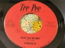 Rare WI Garage Psych 45 Syndicate Next 21st of May / Baby Kicked the Bucket HEAR