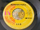 Mind-Blowing Garage Psych Fuzz Acid 45 ESB Mushroom People IN Promo HEAR