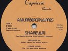 A Number of Names – Sharevari–Capriccio - Electro - Anthony Rother/Drexciya NEU