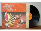 Rare Pressing Elton John Madman Across the Water LP Right On Records R-208
