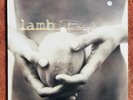 Lamb Between Darkness And Wonder 12
