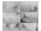 LP JAN JELINEK - SEASCAPE - polyptych