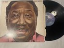 Muddy Waters I'm Ready Vinyl LP Rare Vintage 1978 Chicago Blues 34928