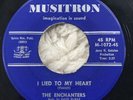 THE ENCHANTERS I Lied To My Heart/Talk While You Walk MUSITRON M-1072-45 Doo Wop
