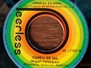 CUMBIAS EN MOOG - CUMBIA DE SAL / mONSTER latin funk SYNTH PSYCH 45 -LisTeN iT-