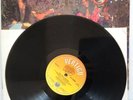Electric Boys Funk-O-Metal Carpet Ride 1989 LP Album vinyl record
