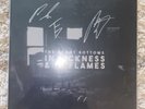 The Front Bottoms In Sickness & In Flames Signed Vinyl LP