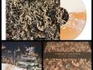 GREET DEATH New Hell LP Vinyl 1st Press 300-holy fawn happy diving bedlocked