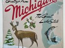 Sufjan Stevens MICHIGAN STATE AKR 2LP Blue/Green Vinyl 500 1st Edition In Hand