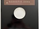INDIA.ARIE - Acoustic Soul MINT Original US 2001 Motown Die Cut Sleeve 2LP Set