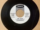 The Whippoorwills 1961 DOOWOP 45 Deep Within / Going To A Party JOSIE DJ M- HEAR