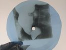 BEATLES HARD DAYS NIGHT X-Ray USSR Record Roentgen Bones Ribs Music Vinyl