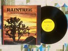 Raintree LP This Time We're Gonna Make It 1977 Private Lounge VG/EX