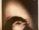 Set Fire To Flames – Telegraphs In Negative / Mouths Trapped In Static 2LP USED