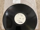 Steel Panther All You Can Eat Signed Vinyl Test Pressing Rare
