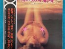 Vintage Japanese Cheesecake Lp Cover  Sexy Pin Up Ships From USA