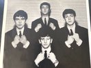 THE BEATLES    LEAVE MY KITTEN ALONE Picture Sleeve Only 1985 B-5439  RARE