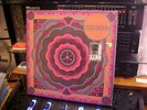 GRATEFUL DEAD BOSTON GARDEN LIVE MAY 7, 1977 5xLP BOX SET RSD 2023 LP  Sealed