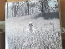 NEW SEALED Taylor Swift - Folklore Vinyl 2xLP IN THE WEEDS