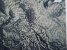Felt-ignite The Seven Cannons Lp 1985 1st Cherry Red-B-Red 65