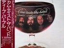 Deep Purple - Come Taste The Band / VG+ / LP, Album, Gat