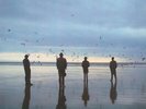 Echo and The Bunnymen - Heaven Up Here / VG+ / LP, Album