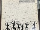 ECHO and the BUNNYMEN 