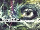 PENDULUM HOLD YOUR COLOUR [2018 VINYL EDITION] NEW LP