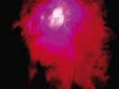 PORCUPINE TREE UP THE DOWNSTAIR NEW LP