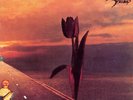 THE PRETTY THINGS PARACHUTE NEW LP
