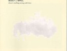BUILT TO SPILL THERE'S NOTHING WRONG WITH LOVE NEW LP