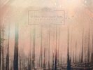 IF THESE TREES COULD TALK RED FOREST NEW LP