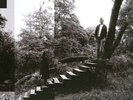 TIMBER TIMBRE TIMBER TIMBRE NEW LP