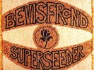 THE BEVIS FROND SUPERSEEDER NEW LP