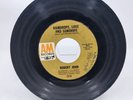 Robert John Raindrops, Love & Sunshine/When The Party Is Over Vinyl Record 7