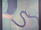 DEAD CAN DANCE: the serpent's dance 4AD 12