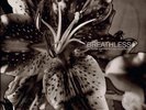 BREATHLESS BETWEEN HAPPINESS AND HEARTACHE NEW LP