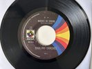 Chalino Sánchez - Nieves De Enero / Alma Enamorada (45 rpm Single, 1992, VG+)