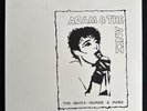 Adam and the Ants - Decca Demos & More Rare Import 12