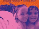 Smashing Pumpkins Siamese Dream Vinyl 2 LP