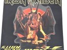 Iron Maiden From Here To Eternity Ltd Edition Shaped Picture Disc EMI1992#142