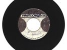 ROMAN STEWART / NEVER TOO YOUNG TO LEARN / VERSION / 7''