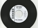 THE AMBERS - POTION OF LOVE - MINT- 7