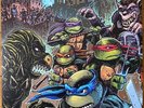 Teenage Mutant Ninja Turtles 2 NEW Shredder Variant Vinyl LP Waxwork OST