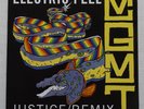MGMT vinyl 12