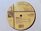 People Under The Stairs - The Next Step LP Vinyl X 2 - PUTS Original 1999