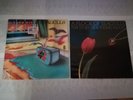A Flock Of Seagulls ‎- A Flock Of Seagulls (LP) + The Story of a Y. Heart (LP)
