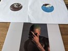 Frank Ocean - Blonde Vinyl Repress/Bootleg (Random Color - Maroon/Blue Speckled)