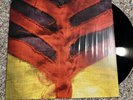 Yeah Yeah Yeahs Show Your Bones Vinyl ️